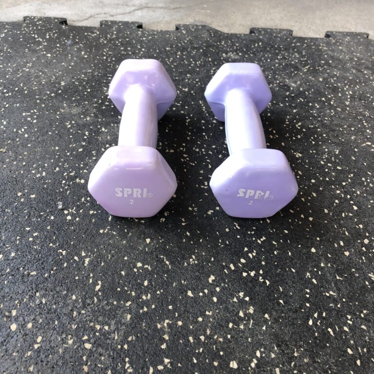 SPRI Vinyl Dumbbells Pairs USED Primo Fitness