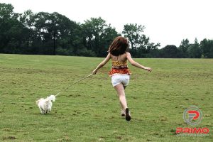 14665-a-cute-young-girl-running-with-her-dog-pv