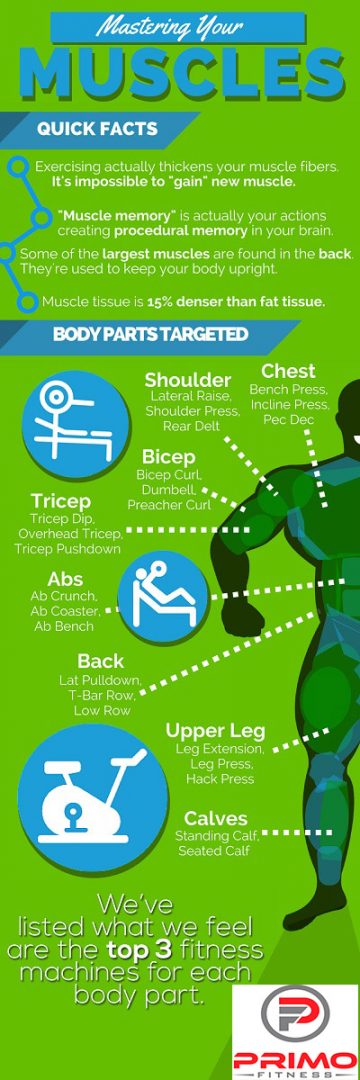 Dynamic Fitness Solutions Fitness Equipment Infographic
