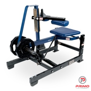 lfhammerstrengthseatedcalfraise