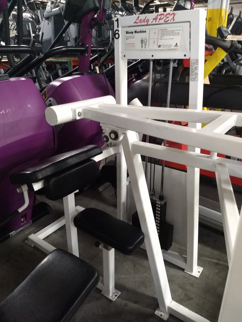 Apex strength series online bench