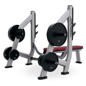 Life Fitness Olympic Bench Weight Storage (SOBWS)