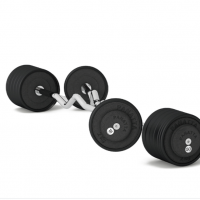 Panatta Curl Bar