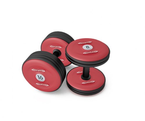 Panatta dumbbells full red