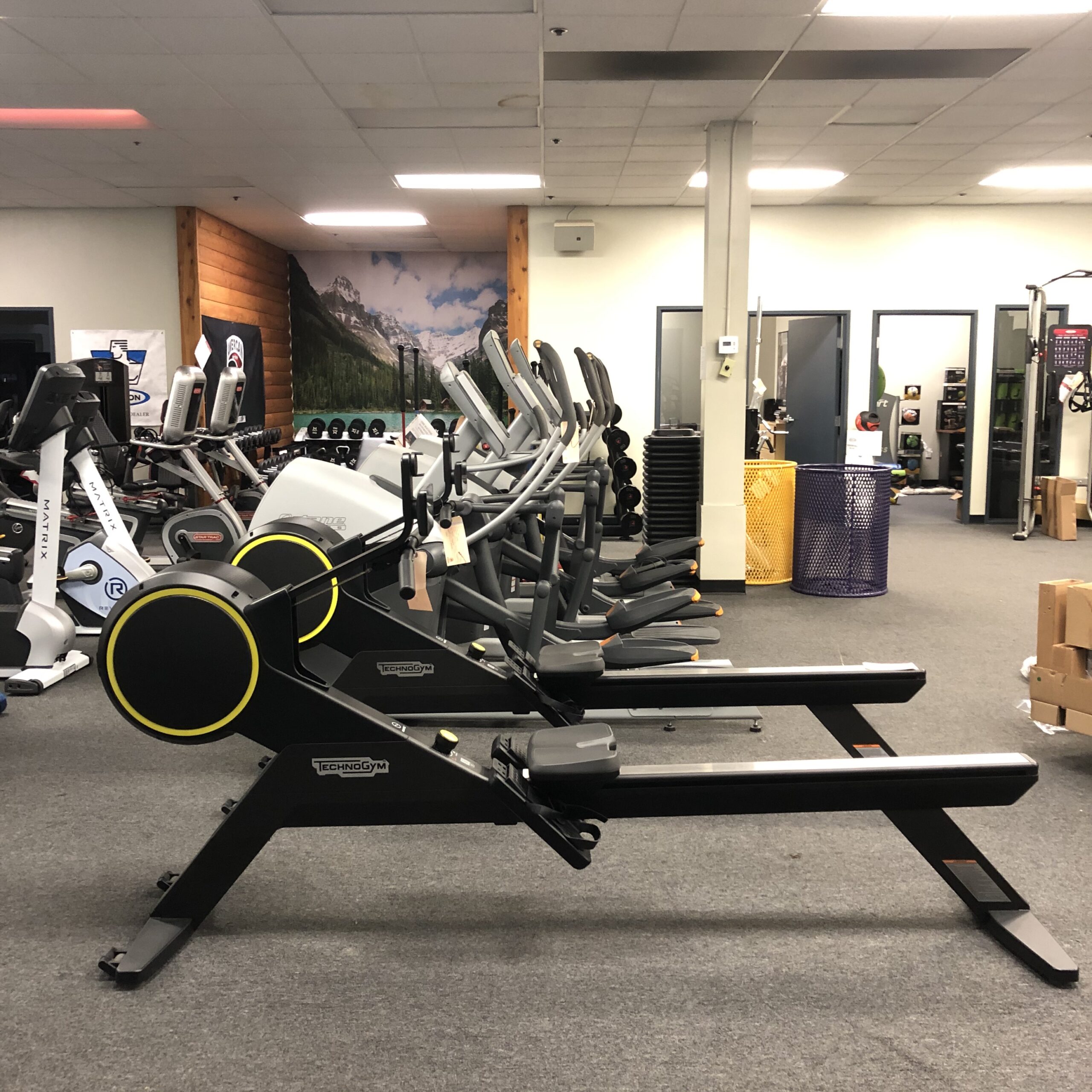 Gym equipment dealers hot sale