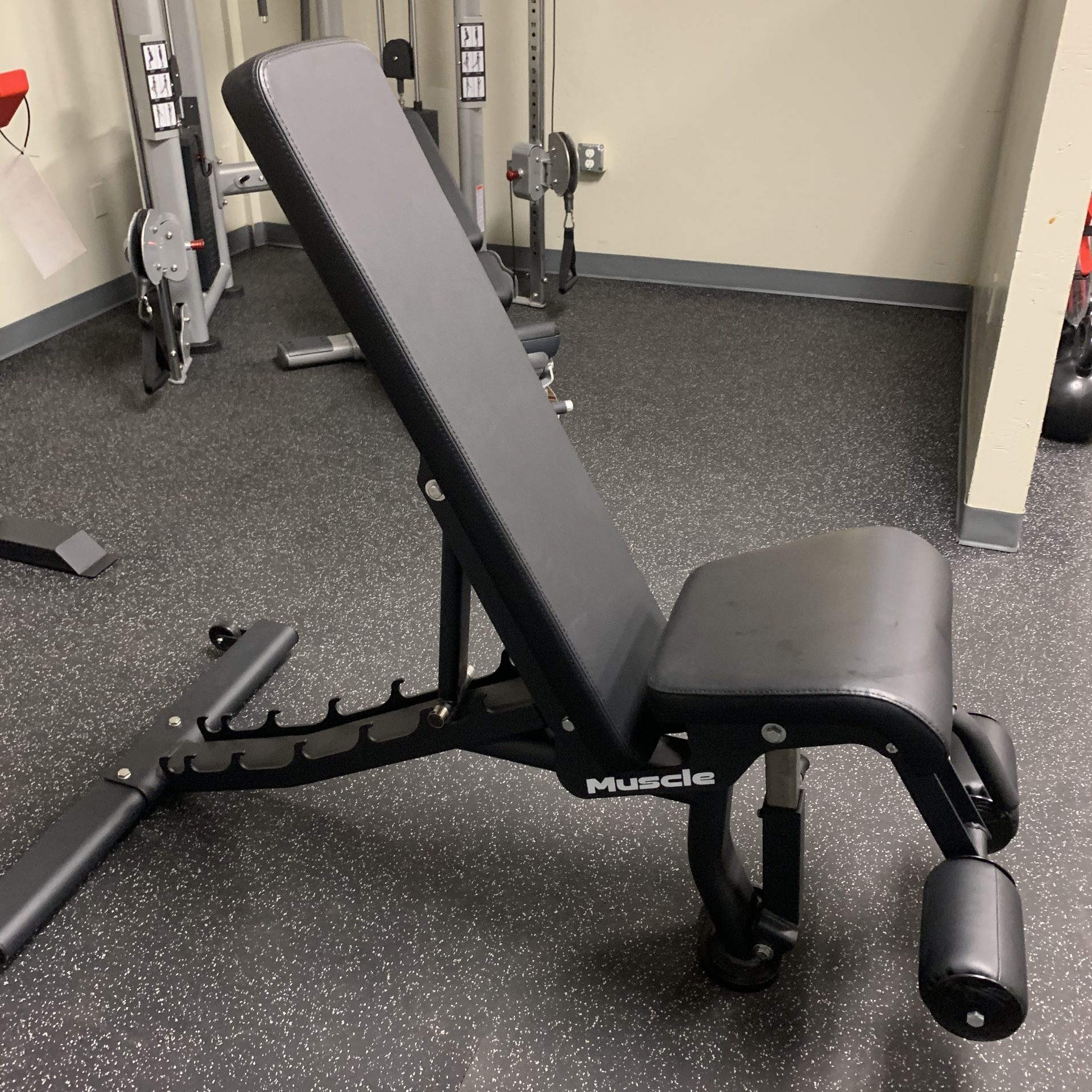 Muscle D Adjustable Bench