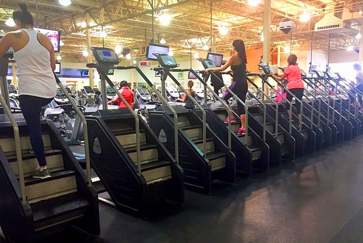 why-the-stairmaster gauntlet-is-the-ideal-workout-companion