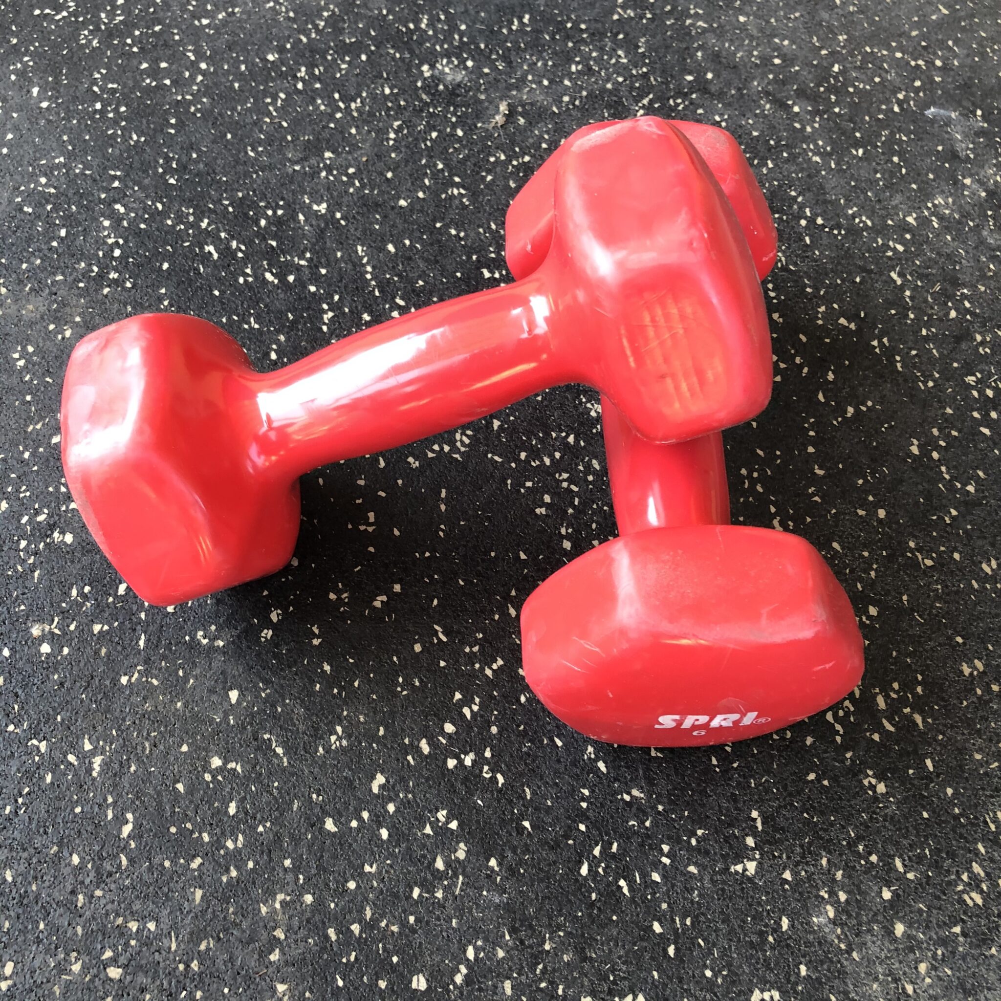 New and Used Dumbbell Sets for Sale Professional Grade Dumbbells