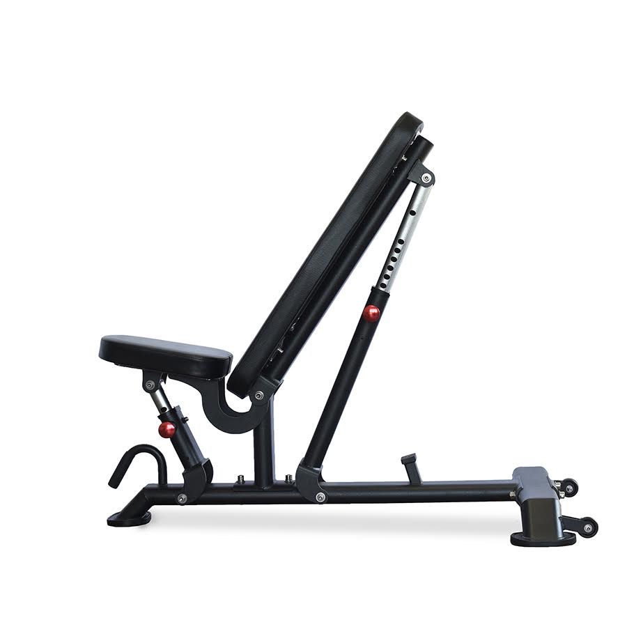 Muscle d adjustable bench new arrivals