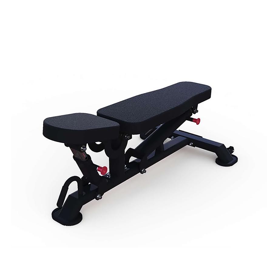 Muscle d 2024 adjustable bench