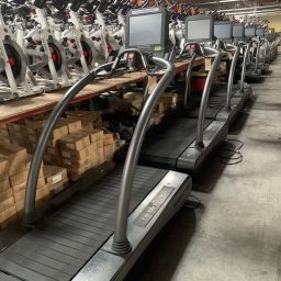 Woodway Desmo Elite Treadmill 